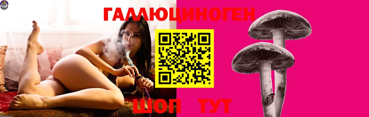 Псилоцибиновые грибы MAGIC MUSHROOMS  Вход с VPN  Псилоцибиновые грибы мухоморы  Каменка 